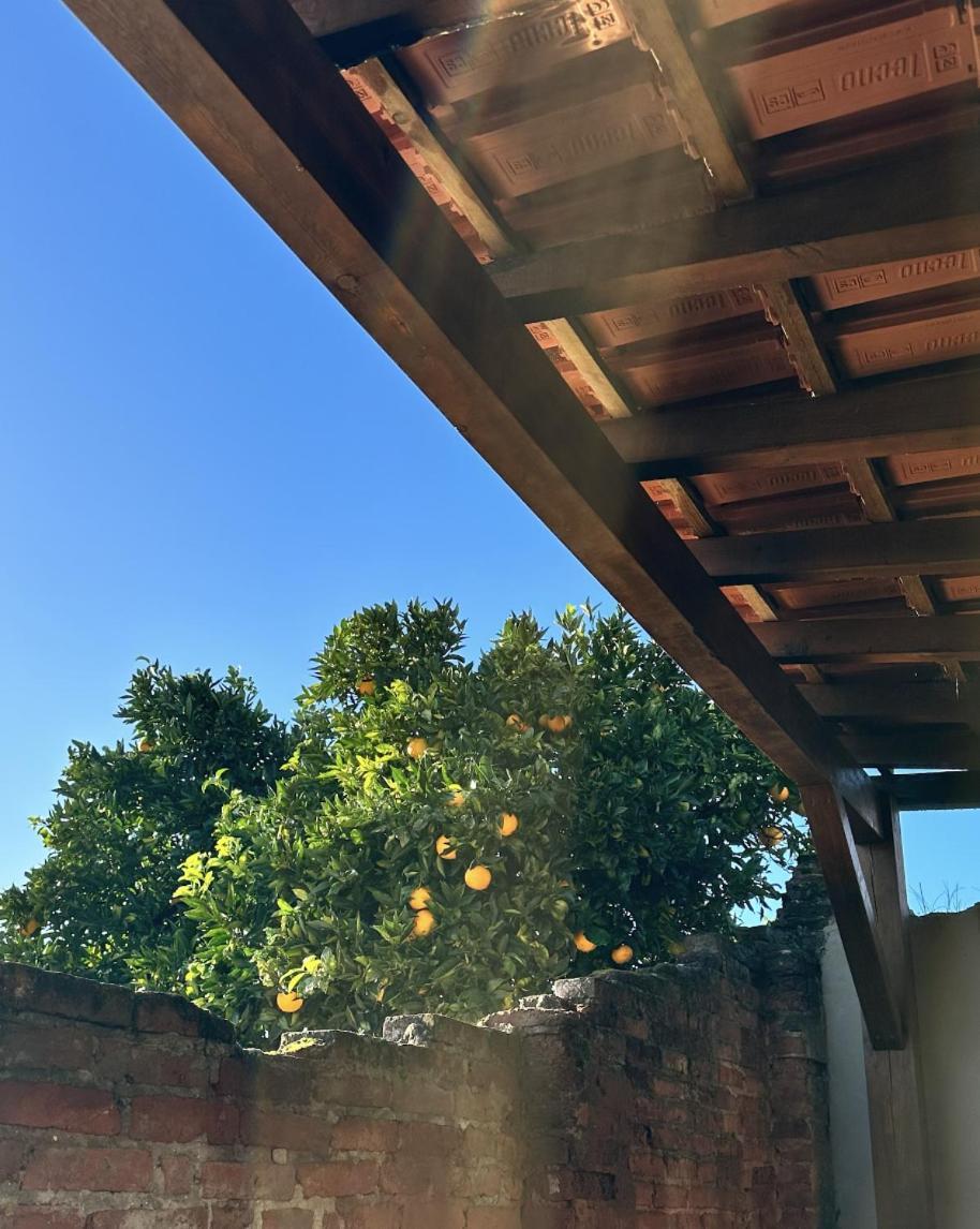 הוילה La Casita Nazare - Private Pool מראה חיצוני תמונה